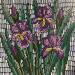 Peinture Purple irises par Dmitrieva Daria | Tableau Impressionnisme Nature Acrylique