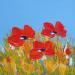 Painting Coquelicots by Gaultier Dominique | Painting Figurative Nature Oil