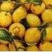 Peinture Lemons par Braiko Catherine | Tableau Réalisme Natures mortes Huile