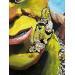 Peinture Shrek par Caizergues Noël  | Tableau Pop-art Icones Pop Acrylique Collage