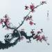 Peinture Red blossom 2 par Du Mingxuan | Tableau Figuratif Nature Aquarelle Encre