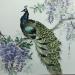 Painting Peacock by Du Mingxuan | Painting Figurative Animals Watercolor Ink