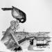 Peinture Gargouille par Mü | Tableau Figuratif Urbain Animaux Noir & blanc Encre Feuille d'or
