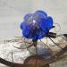 Sculpture Méduse bleu Cyan M by Eres Nicolas | Sculpture Figurative Animals Metal