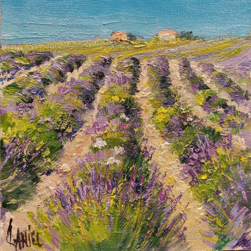 Peinture Cabanas Lavande en provence par Daniel | Tableau Impressionnisme Huile Paysages