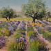 Peinture Lavandes oliviers par Daniel | Tableau Impressionnisme Paysages Huile