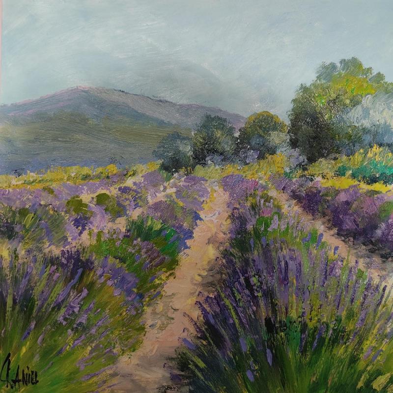 Painting Lavandes au Mont Ventoux by Daniel | Painting Impressionism Oil Landscapes