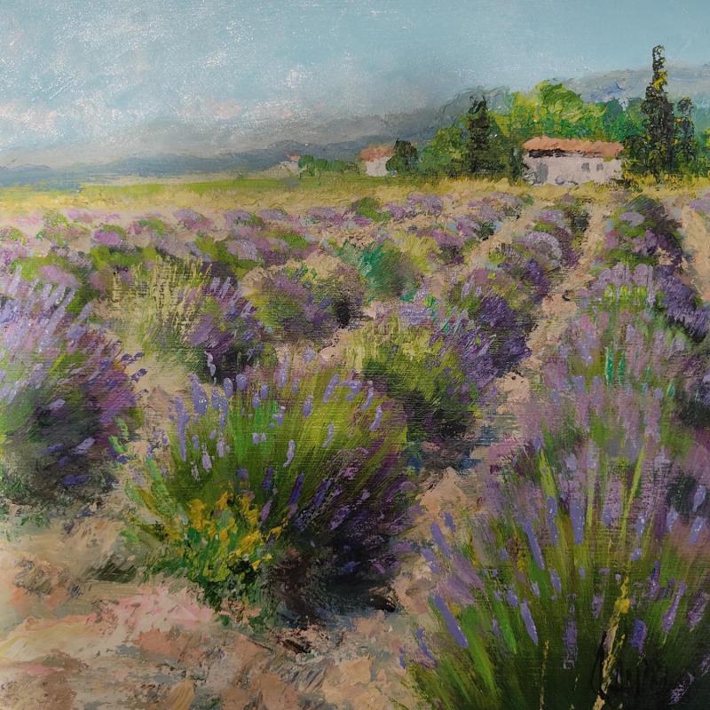 Painting Champs de lavandes by Daniel | Painting Impressionism Oil Landscapes