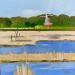 Peinture Moulin au loin par Clavel Pier-Marion | Tableau Impressionnisme Paysages Bois Huile