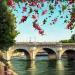 Painting The Pont Neuf and La Seine by Pigni Diana | Painting Figurative Oil