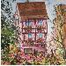 Peinture PINK HOUSE IN COLMAR par Rasa | Tableau Figuratif Urbain Acrylique