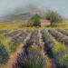 Painting Lavandes et cabanon by Daniel | Painting Impressionism Landscapes Oil