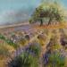 Peinture Lavandes et oliviers par Daniel | Tableau Impressionnisme Paysages Huile