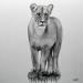 Painting Lionne by K'Arts | Painting Figurative Society Animals Black & White Charcoal