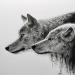 Painting Loup II by K'Arts | Painting Figurative Society Animals Charcoal