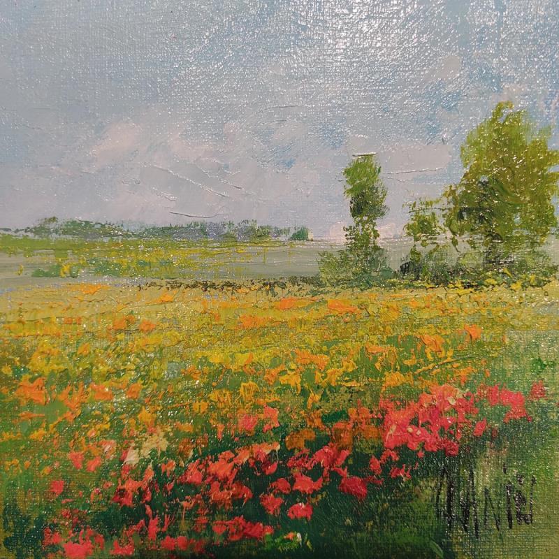 Painting Coquelicots en Baie de Somme by Daniel | Painting Impressionism Landscapes Oil