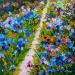 Peinture Le chemin d'Iris par Amblard Florence | Tableau Impressionnisme Paysages Nature Huile Acrylique