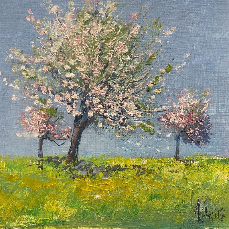 Painting Pommiers en fleurs by Daniel | Painting Impressionism Oil Landscapes