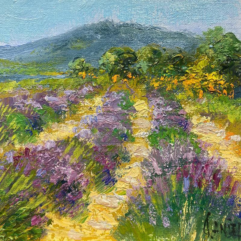 Painting Plateau de Valensole by Daniel | Painting Impressionism Landscapes Oil