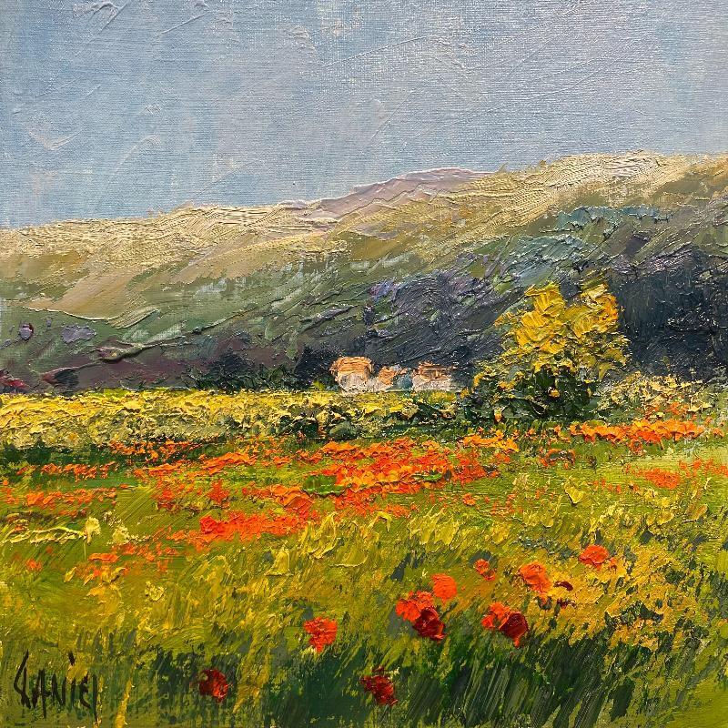 Peinture La plaine en Luberon avec coquelicots par Daniel | Tableau Impressionnisme Paysages Huile