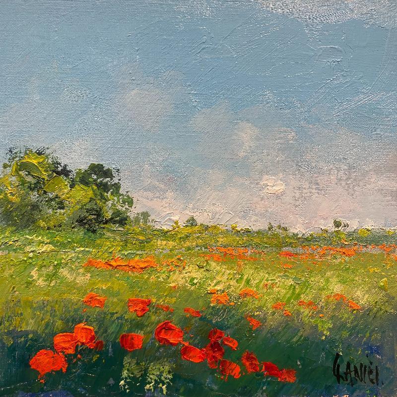 Peinture Quelques coquelicots par Daniel | Tableau Impressionnisme Paysages Huile