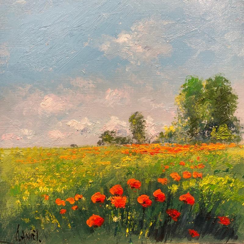 Gemälde Coquelicots en Picardie von Daniel | Gemälde Impressionismus Landschaften Öl