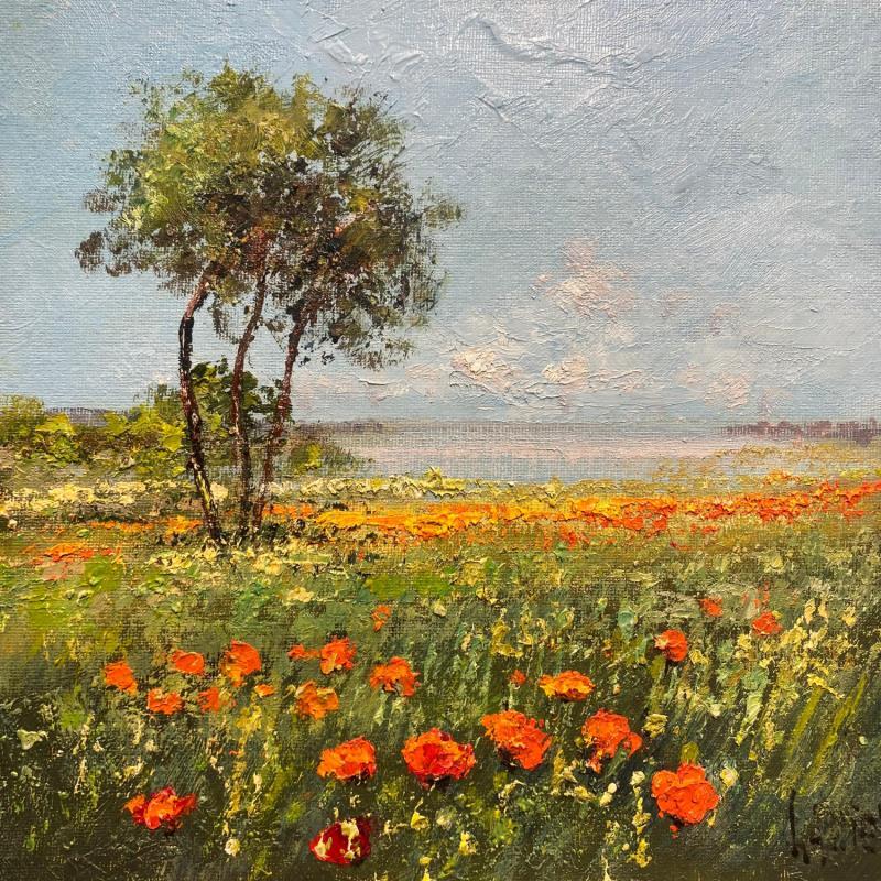 Gemälde Coquelicots en Baie de Somme von Daniel | Gemälde Impressionismus Landschaften Öl