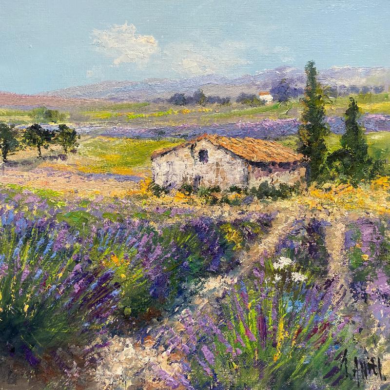 Peinture Mas dans les lavandes par Daniel | Tableau Impressionnisme Paysages Huile