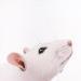 Painting I SEE YOU 95 by Milie Lairie | Painting Realism Animals Oil