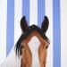 Painting I SEE YOU 106 by Milie Lairie | Painting Realism Animals Oil