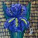 Painting Iris  by Dmitrieva Daria | Painting Impressionism Nature Acrylic
