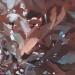 Painting Elle douta soudainement by Gemini. H  | Painting Realism Portrait Acrylic