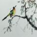 Painting White-head bird by Du Mingxuan | Painting Figurative Animals Watercolor Ink