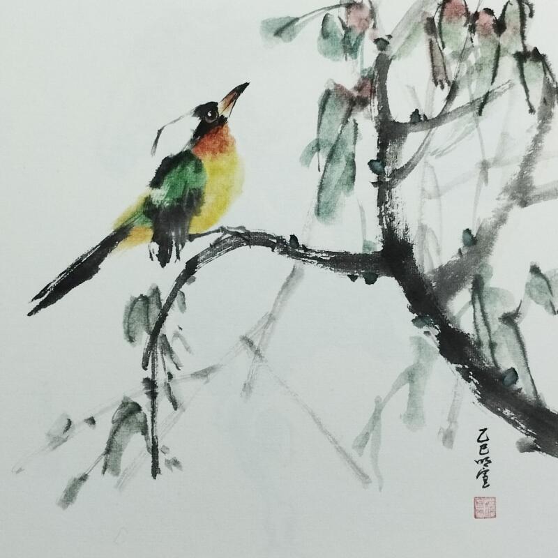 Painting White-head bird by Du Mingxuan | Painting Figurative Animals Watercolor Ink