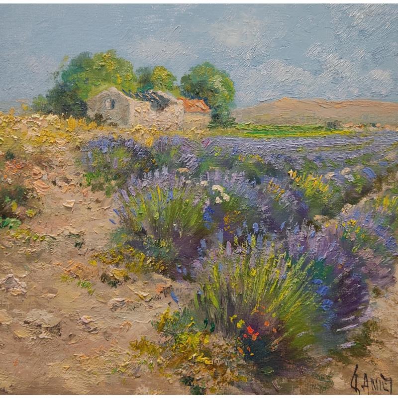 Painting Le vieux cabanon by Sannier Daniel | Painting Impressionism Oil Landscapes