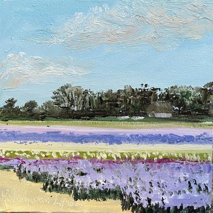 Painting F1 25LS178-bollenvelden 1-F1 by Lynden (van) Heleen | Painting Figurative Oil Landscapes, Marine