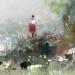 Painting Printemps en Touraine by Gutierrez | Painting Impressionism Landscapes Watercolor