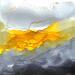 Painting 2425  Poésie florale by Depaire Silvia | Painting Abstract Landscapes Minimalist Black & White Acrylic