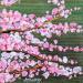 Painting Petites fleurs de cerisier 2 by Amblard Florence | Painting Impressionism Nature Acrylic