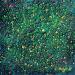 Painting Les fleurs ne dorment jamais by Dessapt Elika | Painting Impressionism Acrylic Sand