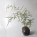 Sculpture Vase raku by Nathalie Roverato | Sculpture Abstract Life style Architecture Raku