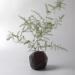 Sculpture Vase raku by Nathalie Roverato | Sculpture Abstract Life style Architecture Raku