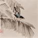 Peinture Musa Basjoo par Du Mingxuan | Tableau Figuratif Mixte Paysages animaux