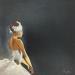 Painting Le Cygne sur fond noir by Chicote Celine | Painting Figurative Life style Oil