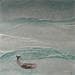 Painting Vita smeralda by Roma Gaia | Painting Figurative Mixed Landscapes Marine Animals Minimalist