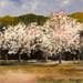 Gemälde BEAU DIMANCHE von Dalban Rose | Gemälde Abstrakt Landschaften Öl