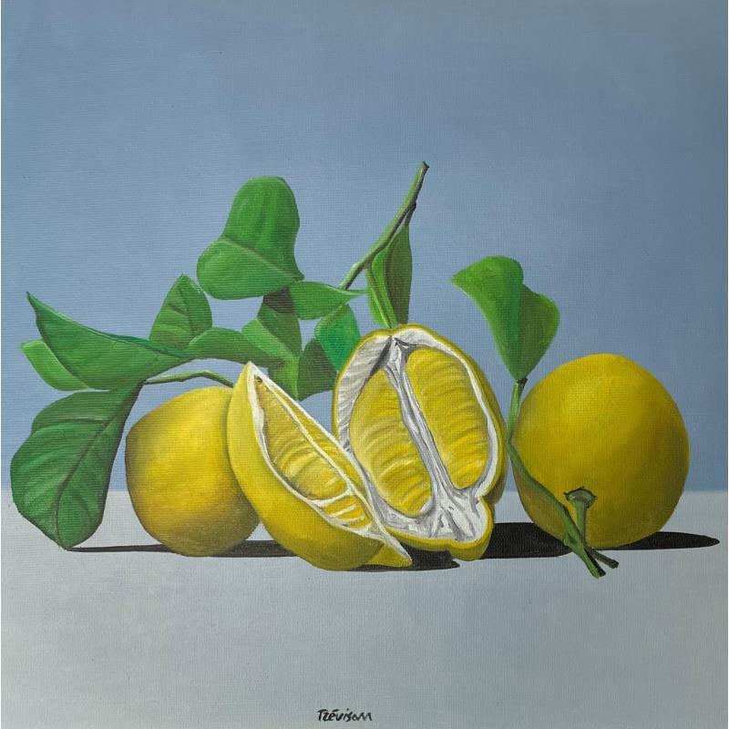 Painting Yellow Think by Trevisan Carlo | Painting Oil
