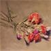 Painting Œillet 3 by Morales Géraldine | Painting Figurative Still-life Oil Acrylic