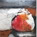 Peinture Flamboiement par Han | Tableau Abstrait Paysages