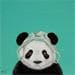 Painting J'AI UN REVE 3 by Ann R | Painting Naive art Portrait Animals Oil